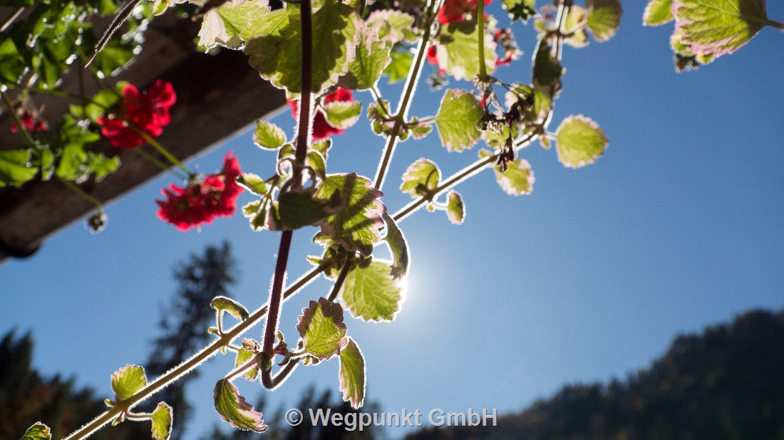 Dank Föhn nochmal Sonne pur